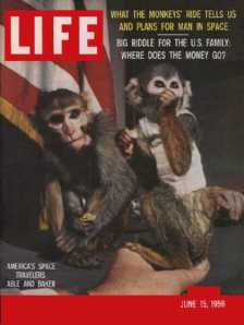 Able and Baker on the cover of Life